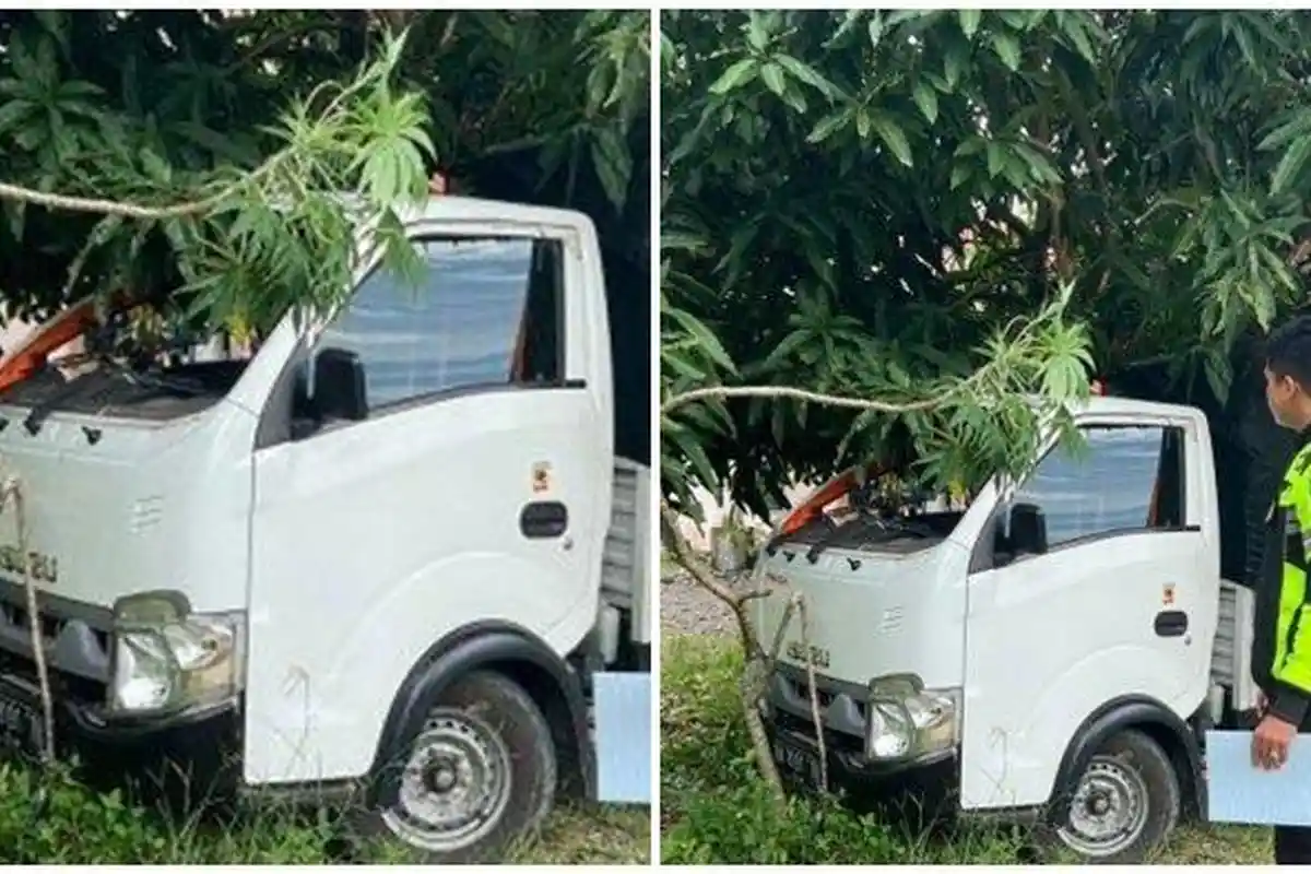 Kecelakaan Maut, 3 Orang Tewas, Mobil Pikap Rombongan Berburu Babi Terguling dan Tabrak Pohon