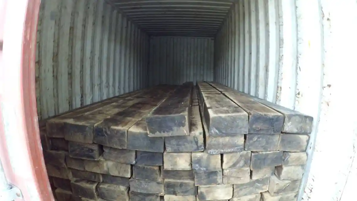 Kayu Ulin Tak Lagi Dilindungi, Kekuatannya Jadi Daya Tarik