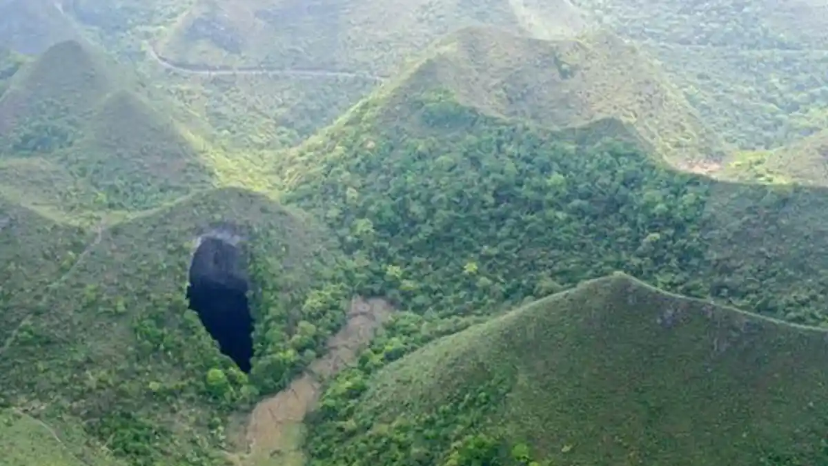 Para Ilmuwan Temukan Hutan Kuno dalam Lubang Pembuangan Raksasa di China