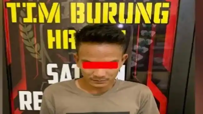 Tribun