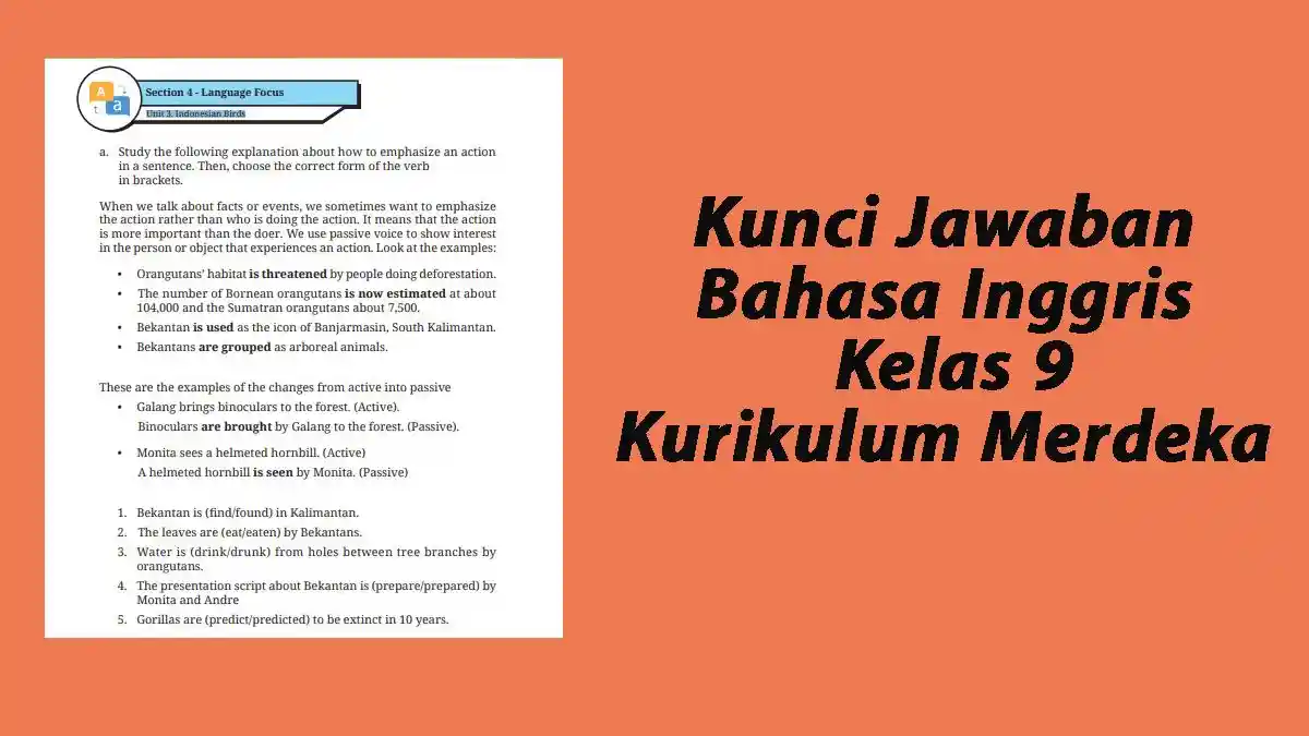 Kunci Jawaban Bahasa Inggris Kelas 9 Hal 65 66 Kurikulum Merdeka, Unit 3 Indonesian Birds