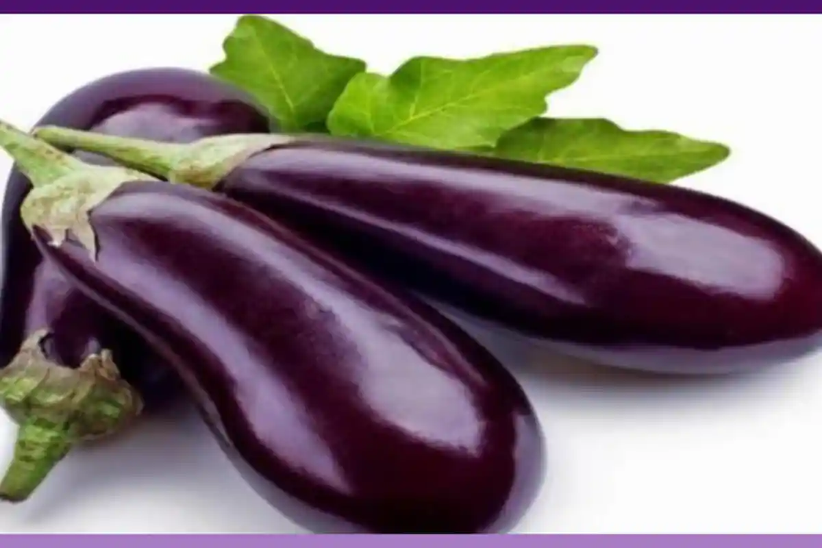 Minum Air Terong Selama 7 Hari Berturut-turut dan Lihat Perubahan Menakjubkan pada Tubuh