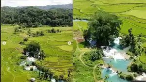 Air-Terjun-Weekacura-yang-betafa-di-tengah-Sawa-di-Waikelo-Sawa.jpg