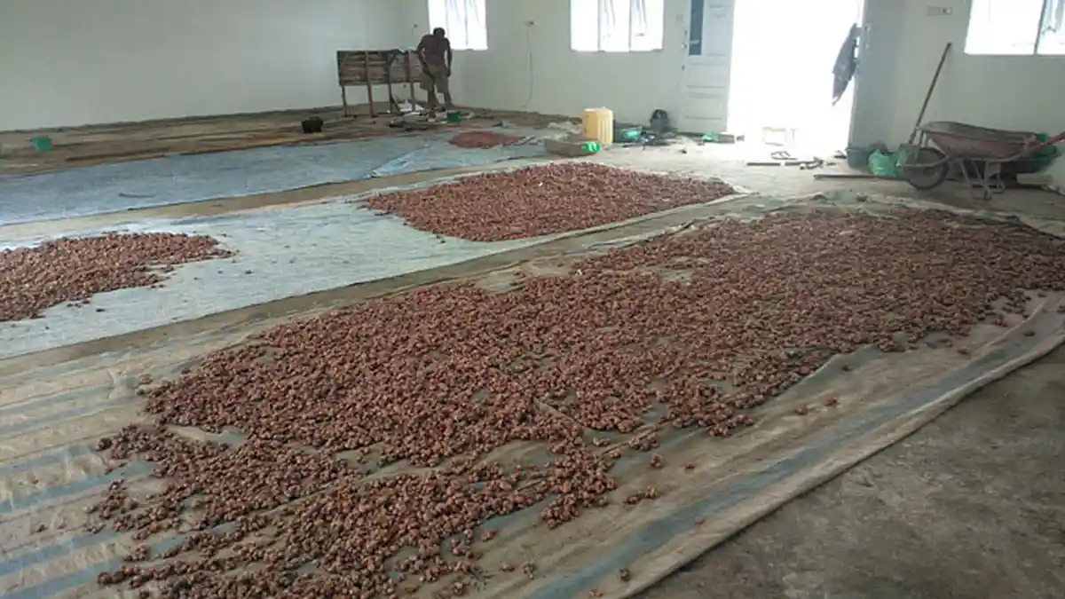 Terbengkalai, Rumah Perlindungan Sosial di Deliserdang Jadi Tempat Jemur Bawang