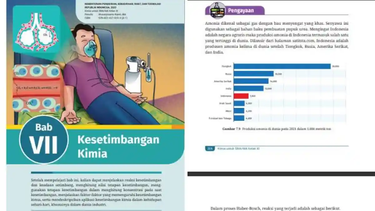 Kunci Jawaban Kimia Kelas 11 Halaman 206 207 Kurikulum Merdeka Bab 7: Pengayaan