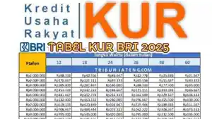 Ilustrasi-Tabel-KUR-BRI-2025-besaran-pinjamam-plafon-Rp1-Juta.jpg