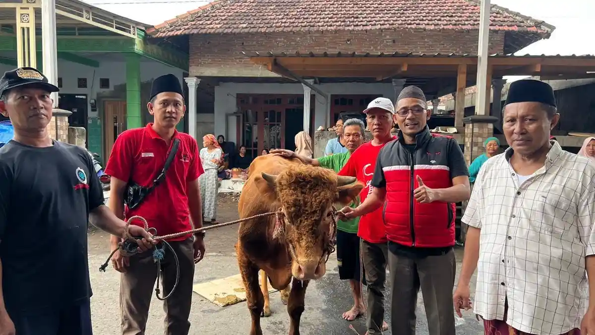 PDI Perjuangan Pasuruan Salurkan Tiga Sapi Kurban Bantuan DPD Jawa Timur