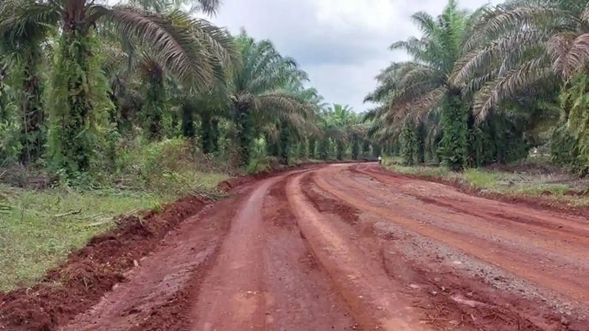 Erick Thohir Tandatangani Pelepasan Jalan Kebun PTPN di Tanahlaut, Ini Respons Warga Tebingsiring