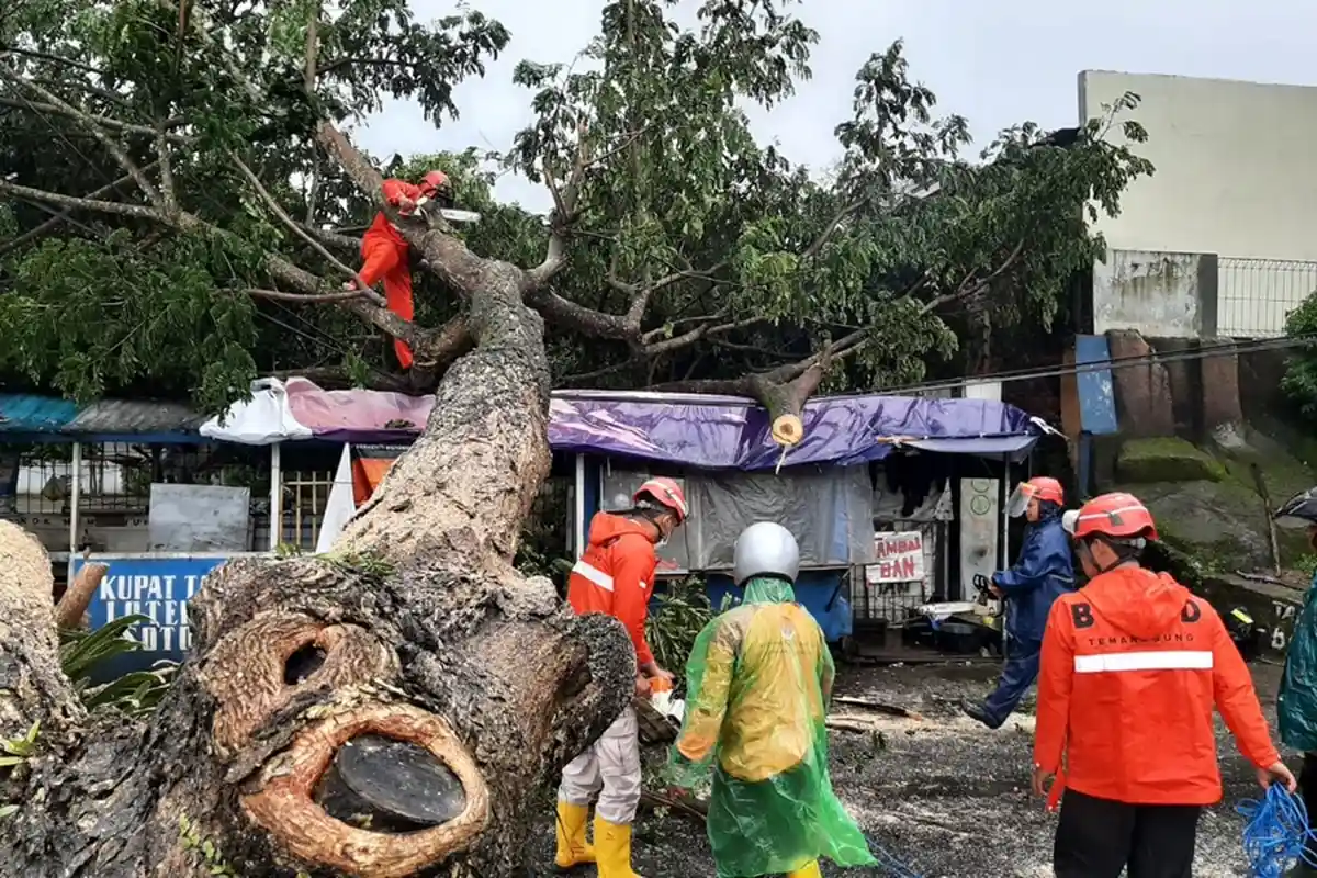 Angin Ribut Porak Porandakan 11 Bangunan di Temanggung, Ini Data Kerusakan Menurut BPBD
