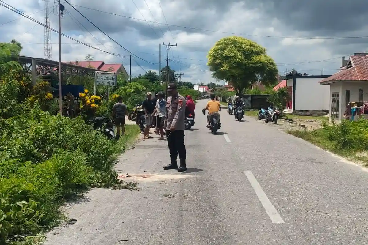 Kronologi Lakalantas di Desa Lanto Buton Tengah, Pemotor Tewas Tertabrak Mobil saat Melambung
