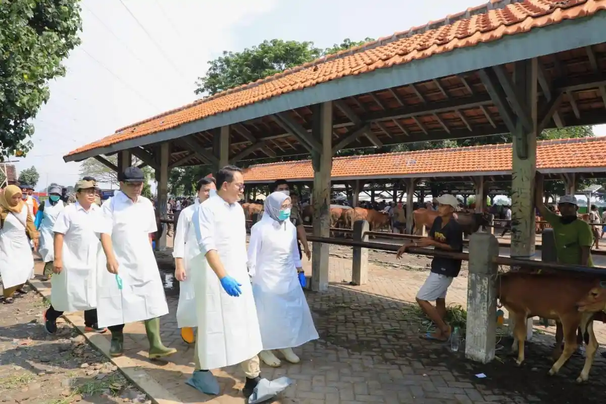 PMK Jatim Tembus 12 Ribu Kasus, Sebabkan 689 Ekor Ternak Mati dan 272 Potong Paksa
