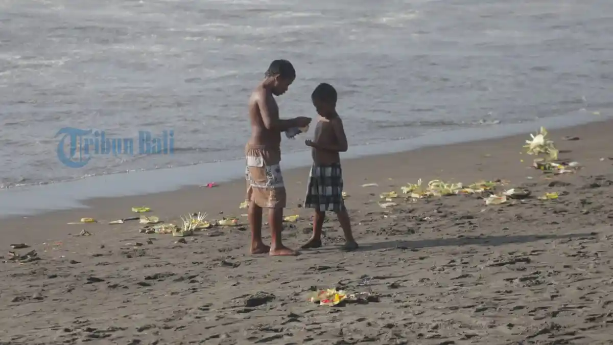 Pemburu Sesari, Bebek dan Ayam Saat Melasti Panen di Pantai Padanggalak Denpasar