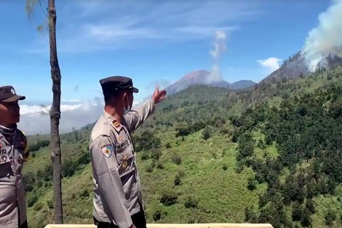 Hutan Pinus Kawasan TNBTS Sisi Lumajang Terbakar, BPBD Antisipasi Kebakaran Meluas