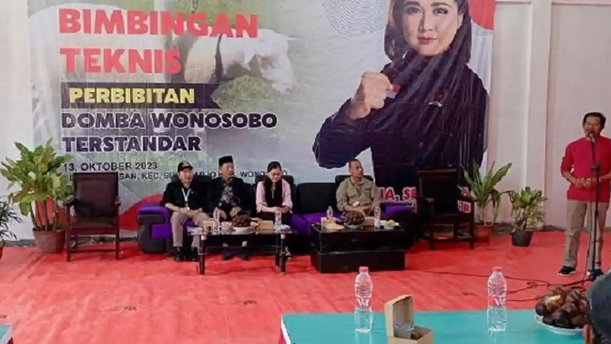 Ternak Unggulan Wonosobo Makin Menjanjikan, Masyarakat Dibekali Cara Perbibitan Dombos Terstandar
