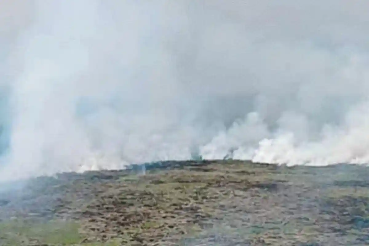 Sepanjang 2025, 5.264 Hektare Lahan di Sumsel Hangus Terbakar, Hanya di Prabumulih Tak Ada Karhutla