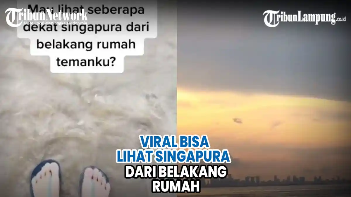VIDEO Viral Bisa Lihat Singapura dari Belakang Rumah