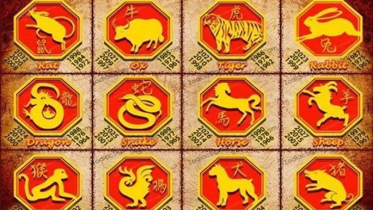 3 Shio yang Beruntung Tahun 2023 : Shio Monyet, Babi, dan Anjing Diramalkan Bakal Ketiban Rezeki