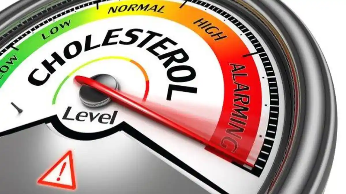 Ciri ciri Kolesterol Sedang Naik dan Cara Mengatasi Kolesterol Tinggi dengan Cepat