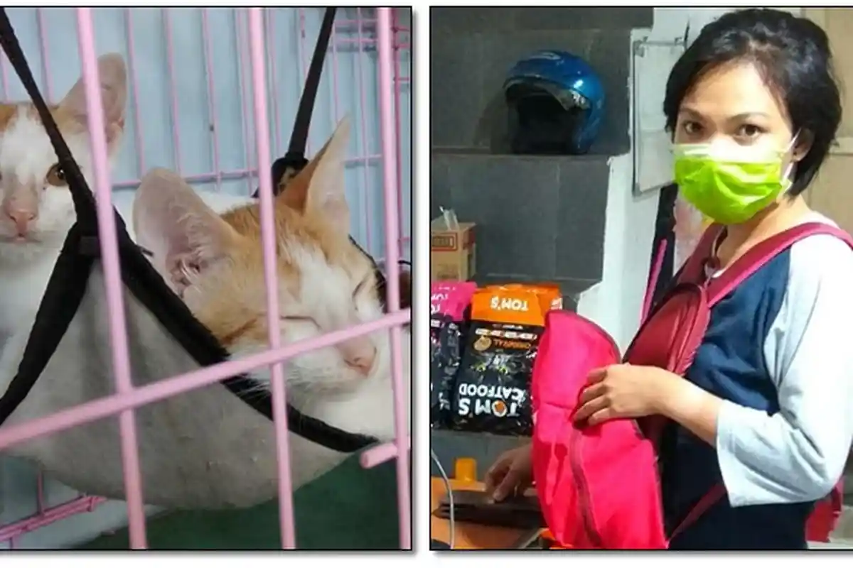 Demi Kelangsung Hidup Kucingnya, Icha Gabung di Kitabisadotcom, Ini Cita-cita Mulia untuk 'Si Manis'