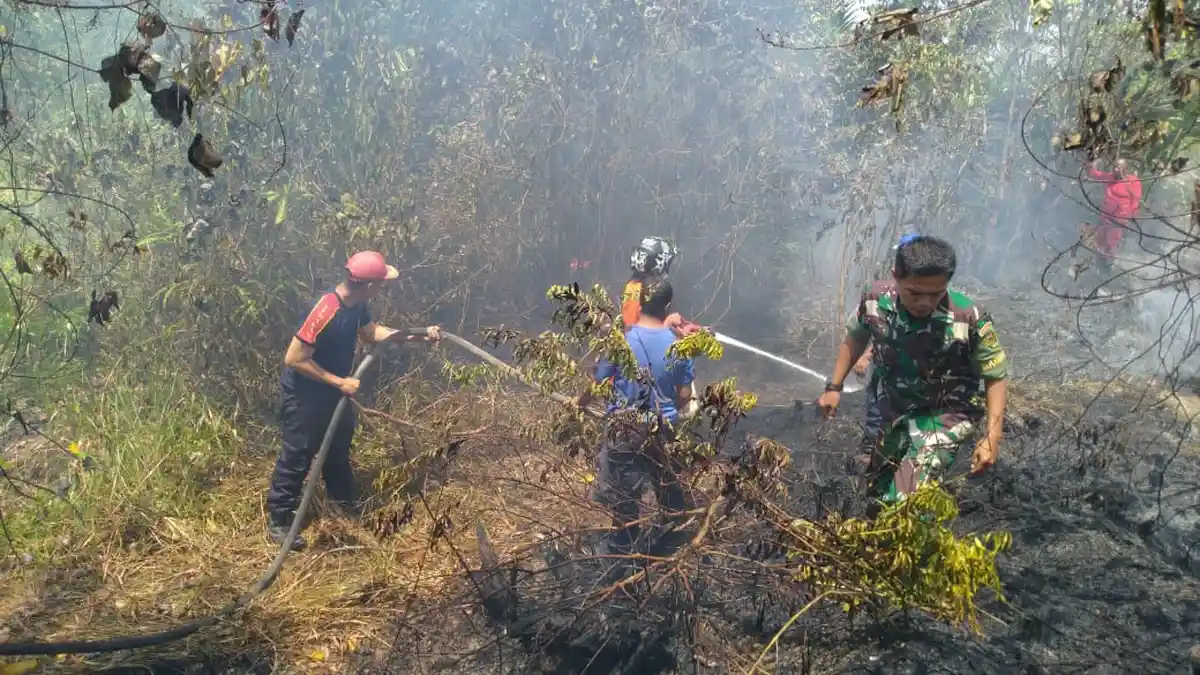 3 Hektar Lahan Warga di Sarolangun Terbakar, Status Karhutla Naik Menjadi Darurat