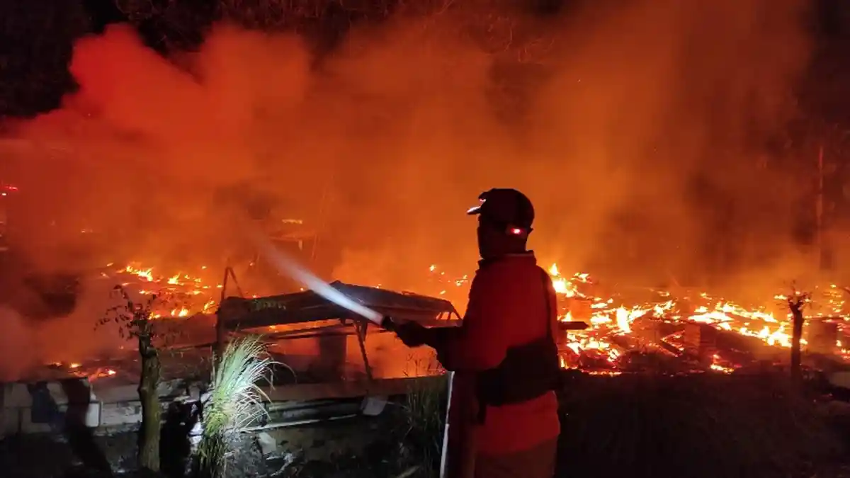 18 Ribu Ayam Senilai Rp 600 Juta Terbakar Hidup-hidup