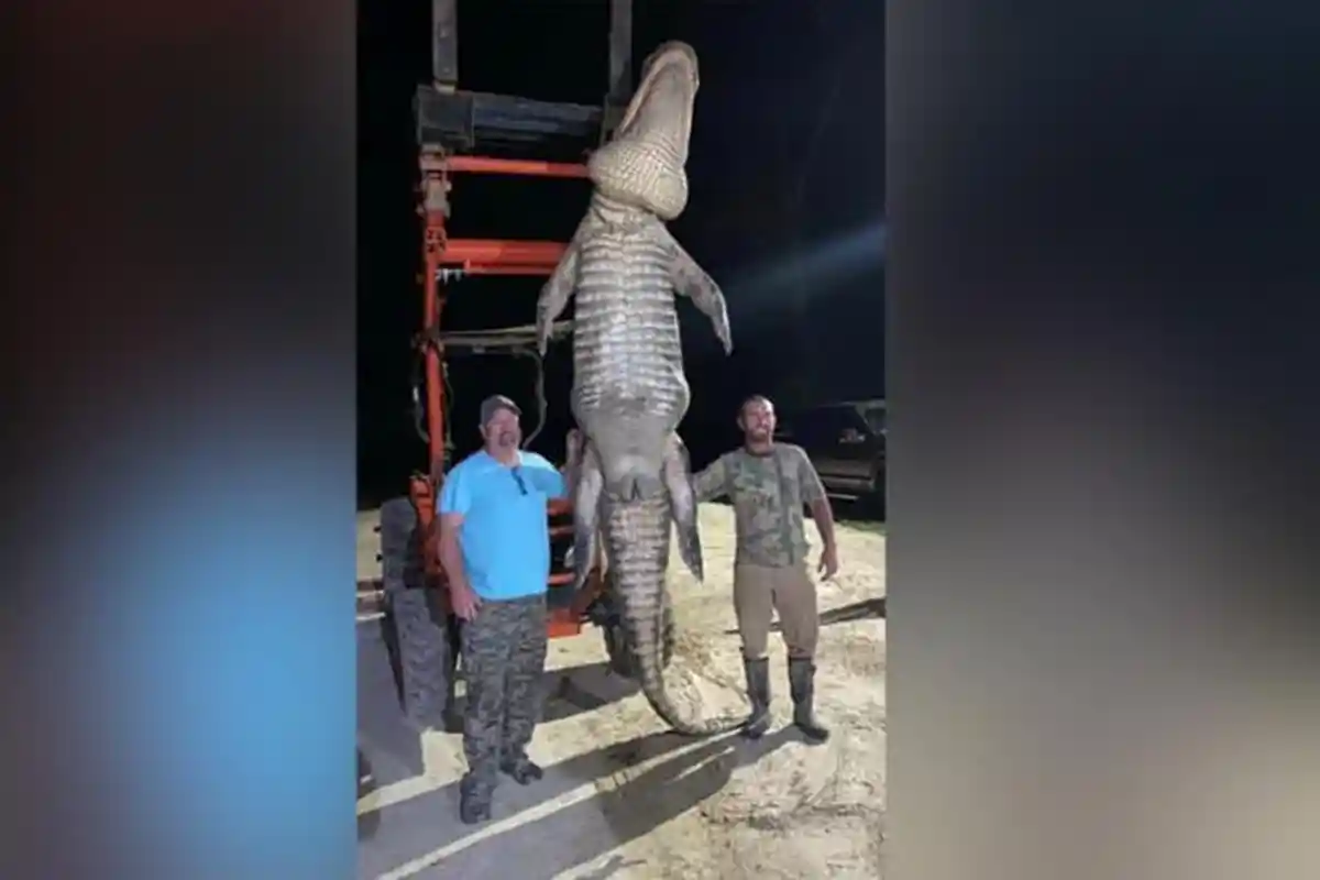 Setelah 3 Tahun Bermimpi & Merasa Selalu Dikuntit, Akhirnya Pria Ini Berhasil Tangkap Buaya Raksasa