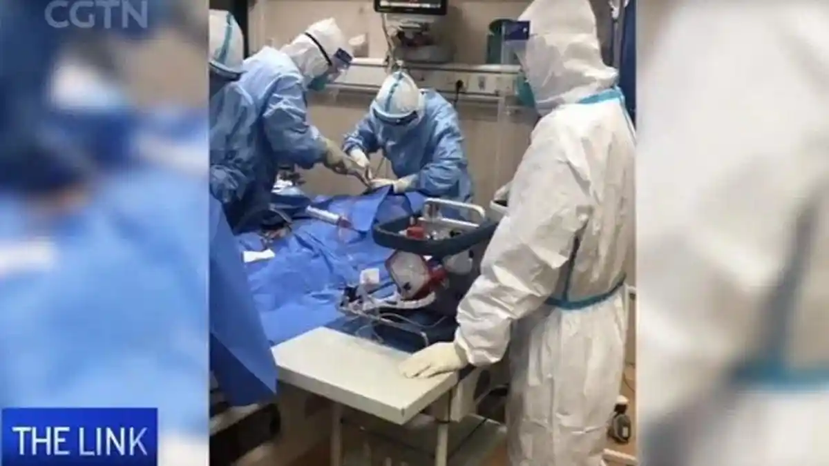 PENYEBAR Berita Hoaks Virus Corona di Facebook Ternyata Bukan Laki-laki Tapi Perempuan Awalnya Iseng