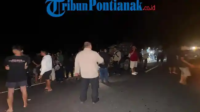 Tribun