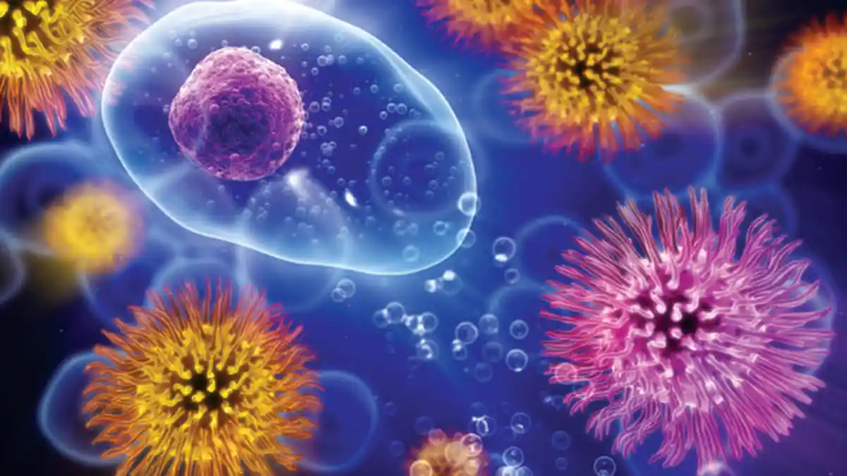 Apa Itu Herd Immunity? Seberapa Besar Efek yang Ditimbulkan? Simak Penjelasan Berikut Ini