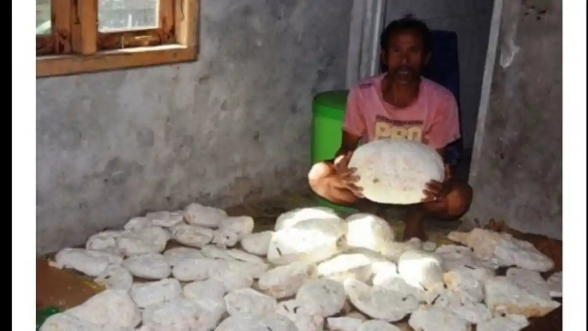 Nelayan Ini Temukan 200 Kg Muntahan Ikan Paus, Wow Harganya Mahal dan Bisa Kaya Mendadak