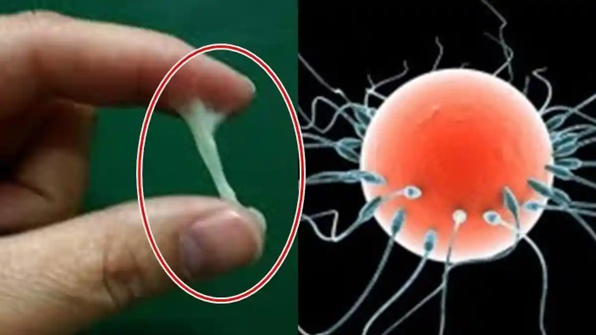 Seorang Nenek Dipijat Lalu Dicabuli, Pelaku Sebut Bagian Dari Ritual Pengobatan