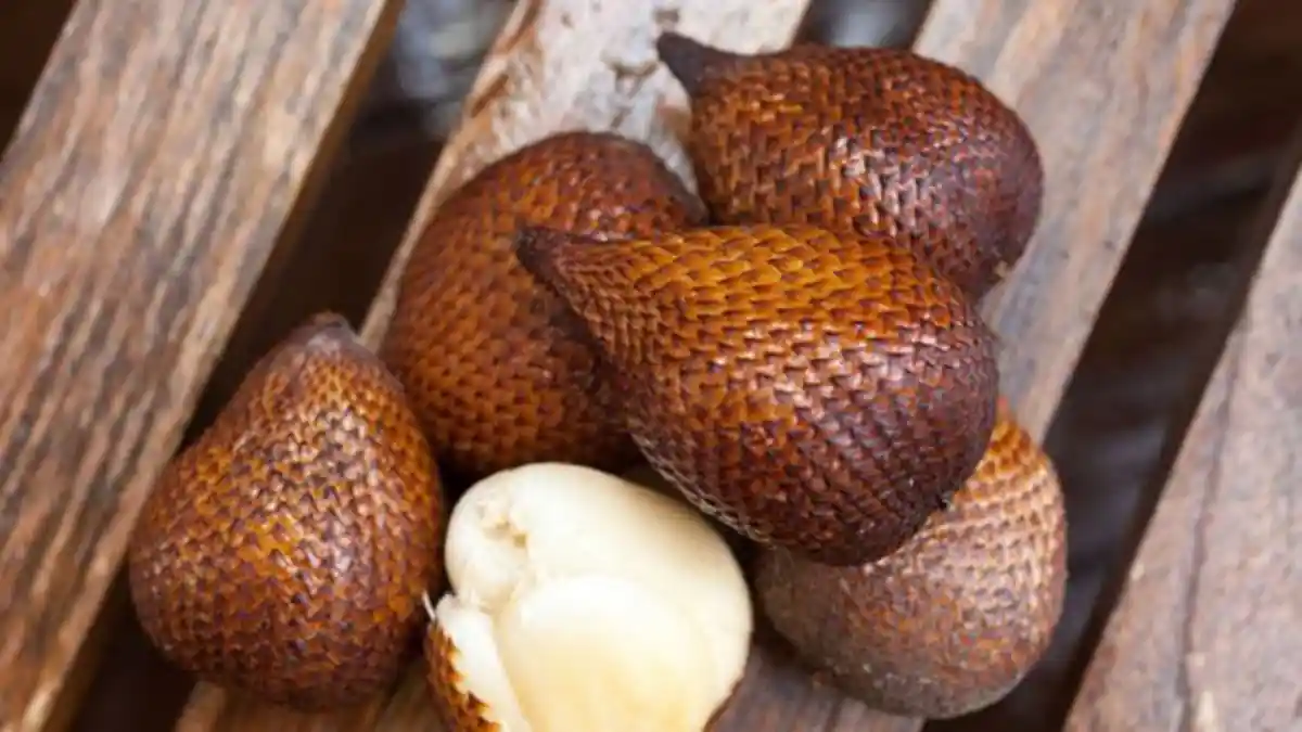 8 Manfaat Buah Salak untuk Kesehatan, Menguatkan Ingatan hingga Kontrol Kadar Gula Darah