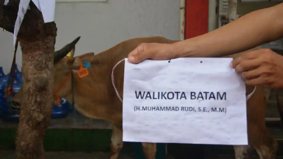 Rutan Batam Kirim Proposal Kurban Idul Adha 1444 H, Walikota Kirim Satu Sapi