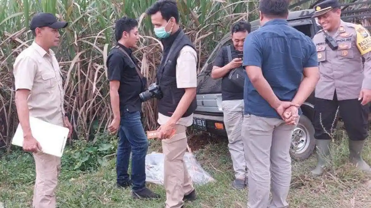 Pohon Ditebang, AT Bacok Bapak dan Anak, Awalnya Karena Dipukul