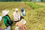 Gubernur-Jatim-Khofifah-Indar-Parawansa-berdialog-dengan-petani.jpg
