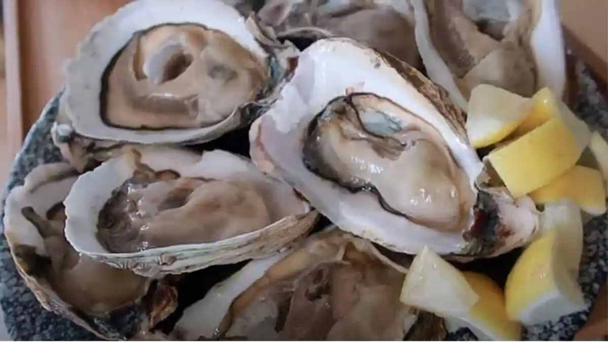 Manfaat Tiram Makanan Laut Kaya Nutrisi, Membantu Menurunkan Berat Badan