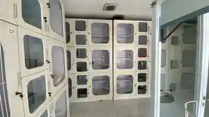 Suasana-penginapan-kucing-di-Cat-Locus-yang-sudah-full-d.jpg