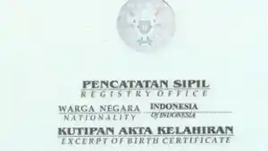 ILUSTRASI-AKTA-KELAHIRAN-Ilustrasi-akta-kelahiran.jpg