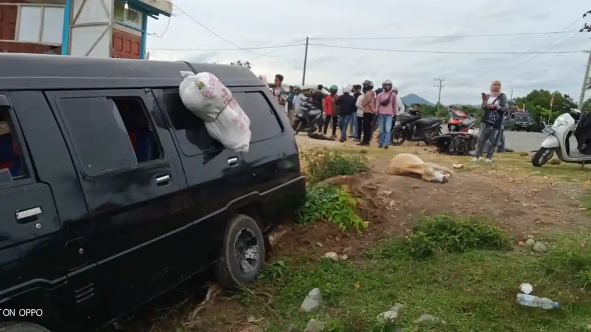 Sapi Melintas Tiba-tiba, L300 Hantam Sepmor, Warga Aceh Besar Meninggal di Aceh Jaya