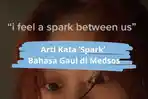 Arti-Kata-Spark-Ramai-di-Media-Sosial.jpg