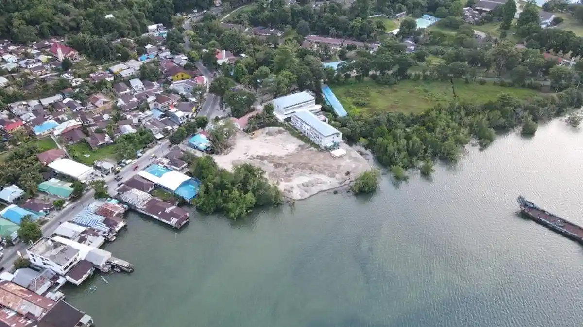 Hutan Bakau di Teluk Ambon Dalam Tersisa 33 Hektar