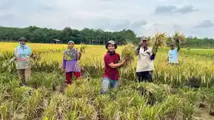 Petani-di-Dusun-Tanjung-Harapan-berhasil-mengolah-lahan-tidur-menjadi-lahan-sawah.jpg