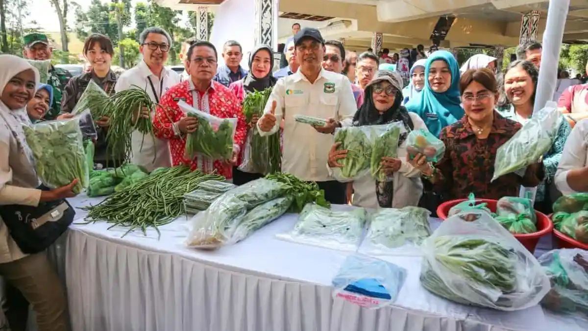 Wesly Silalahi Konsepkan Pertanian Mini di Rumah Dinas, Jawab Tantangan Inflasi Akibat Harga Cabai