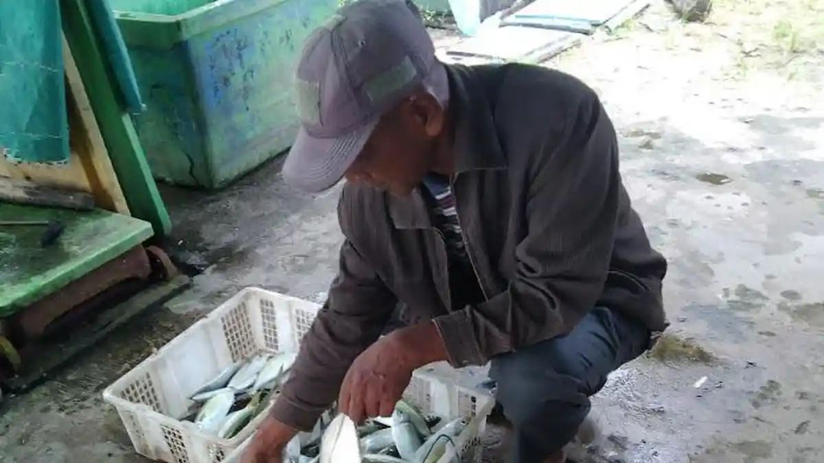 Hasil Tangkapan Nelayan Aceh Singkil Turun, Ini Penyebabnya