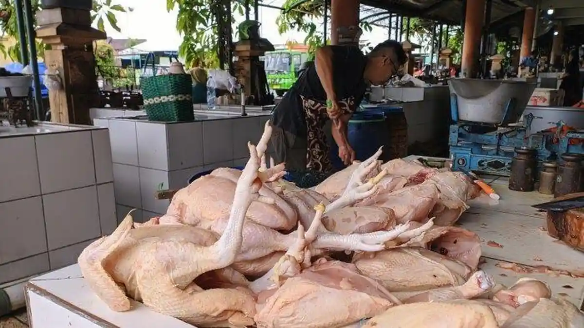Arti Mimpi Ayam Dipotong, Ternyata Bisa Jadi Pertanda Buruk, Ini Tafsir Lengkapnya