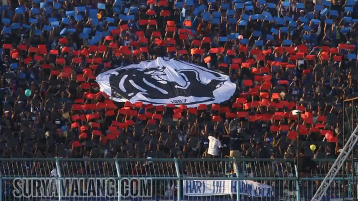 BERITA AREMA POPULER Hari Ini, Singo Edan Kena Denda PSSI dan Bocoran Strategi Lawan Barito Putera