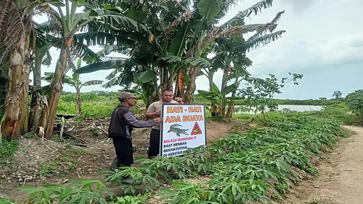 BPBD Mempawah Pasang Plang Imbauan Waspada Buaya di Mempawah Timur