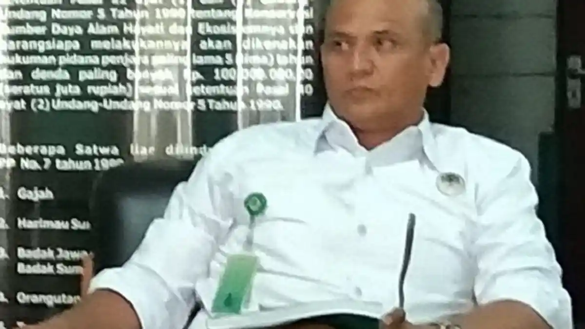 Atasi Konflik Gajah dengan Manusia di Mila Pidie, Ini Upaya yang Dilakukan BKSDA Aceh