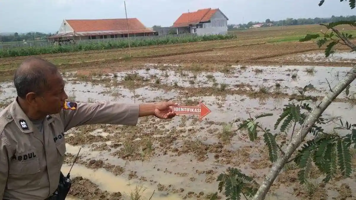 Pamit Perbaiki Mesin Giling Padi, Sukarjo Tewas Tersengat Listrik di Pinggir Sawah