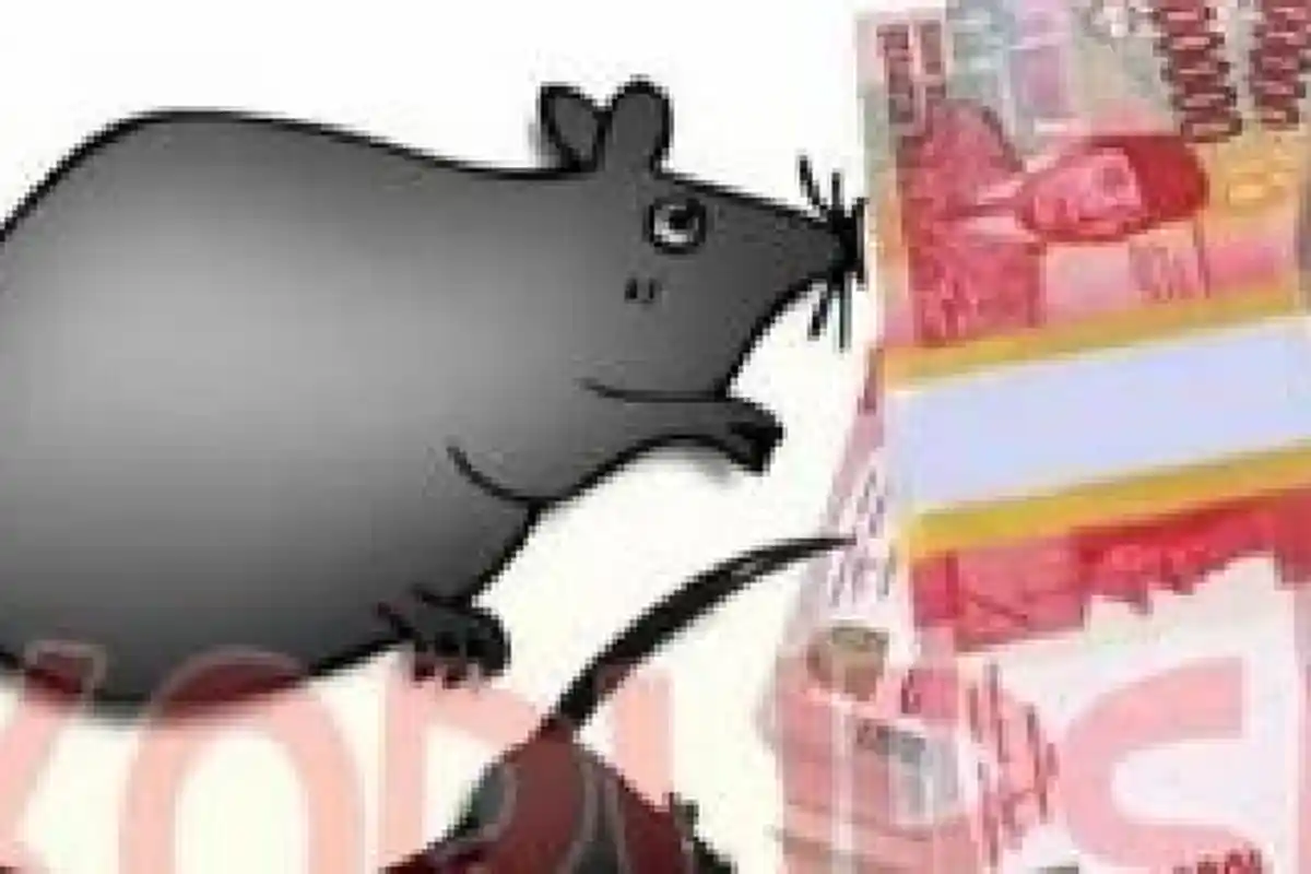 Mark Up Anggaran Proyek, Kadis Kominfo Jeneponto Disidang di Pengadilan Makassar